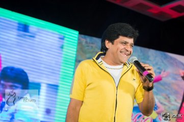 Chinnadana Neekosam Movie Platinum Disc Function